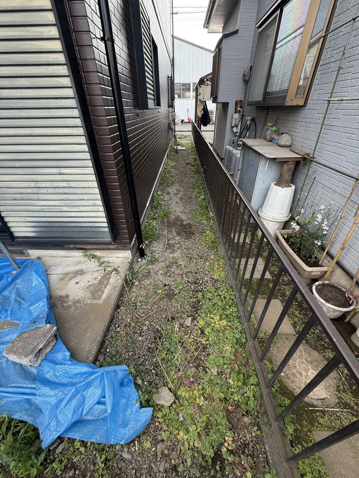 シートで養生中の地面
